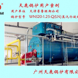 天津普魯旺斯公司1臺(tái)WNS20-1.25-Q(LN)蒸汽冷凝鍋爐